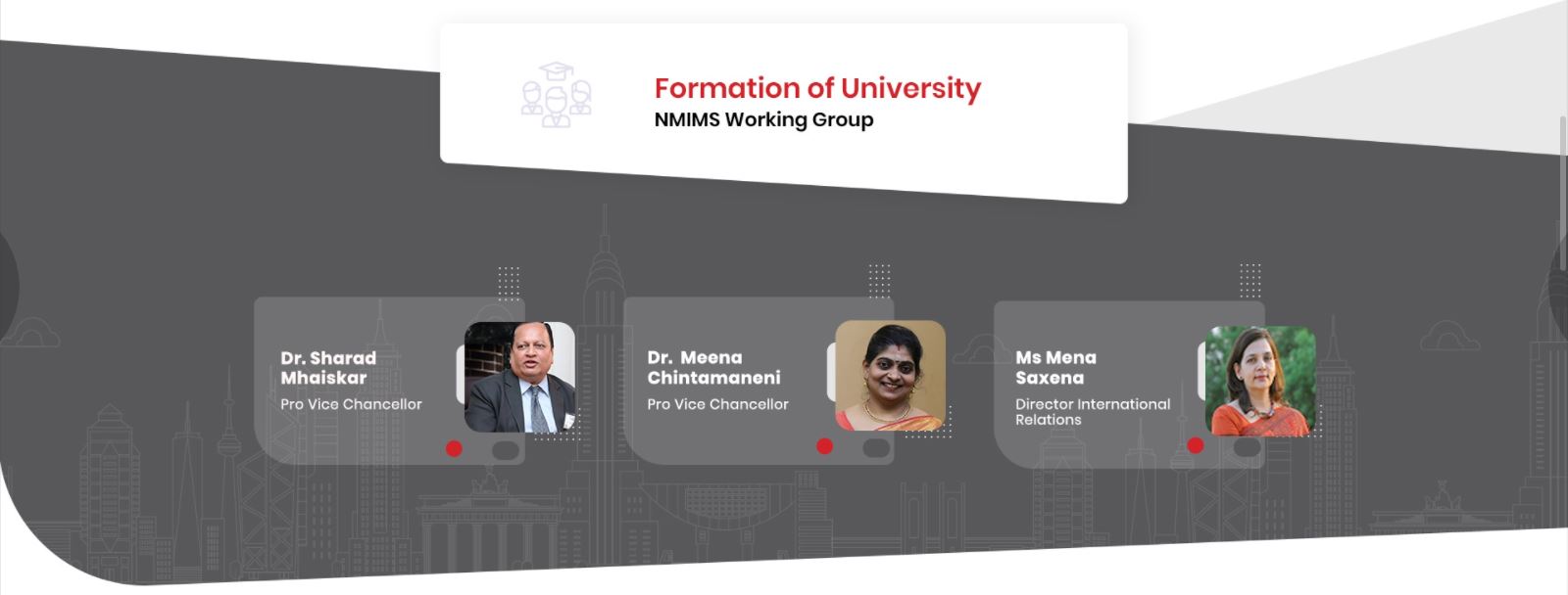 formation of university nmims working group